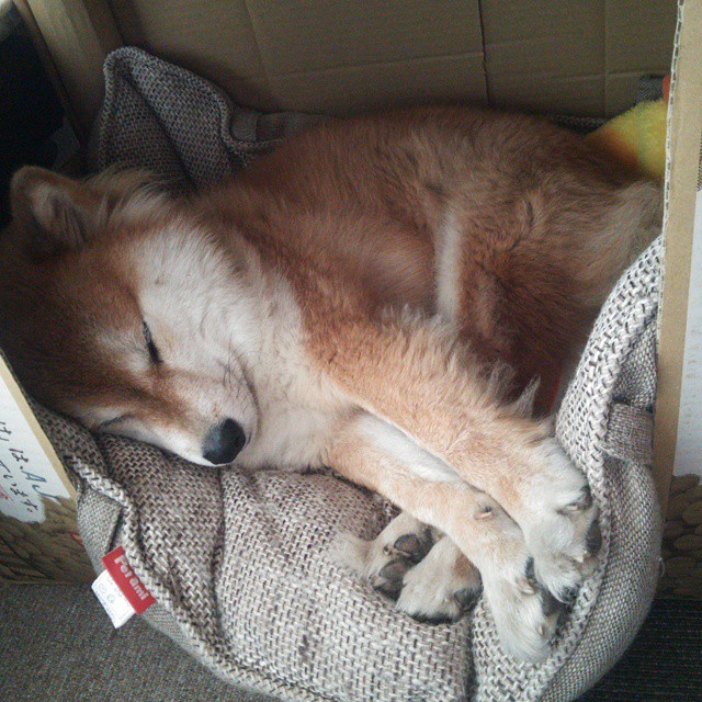 场馆照明智能控制节省运营成本，场馆灯具