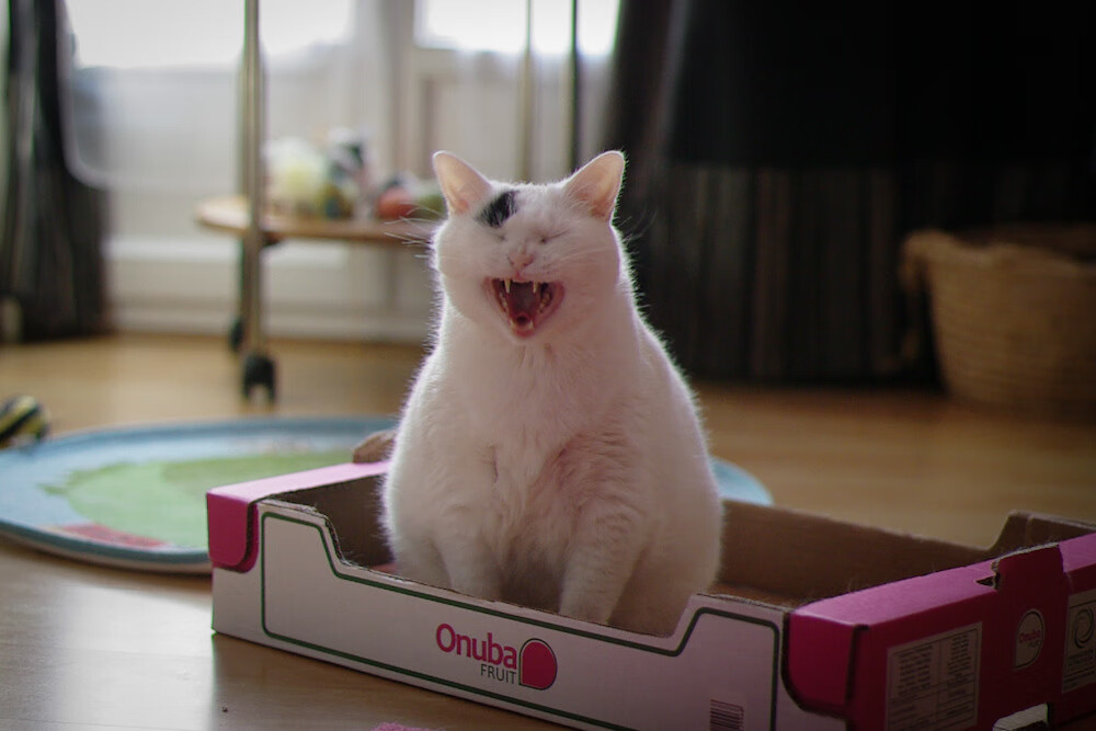 球星联名潮流篮球与时尚融合，球星联名的球鞋的牌子的图片