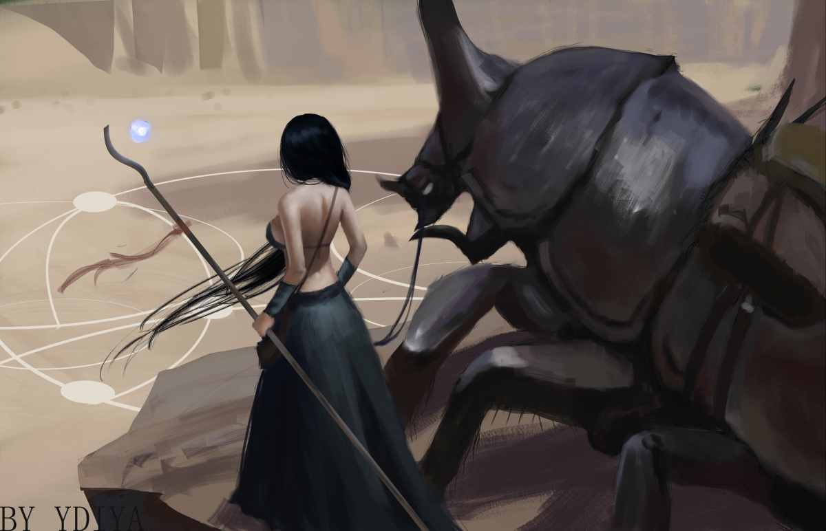 职业联赛内容传播如何加强战术讲解，职业联赛的要求