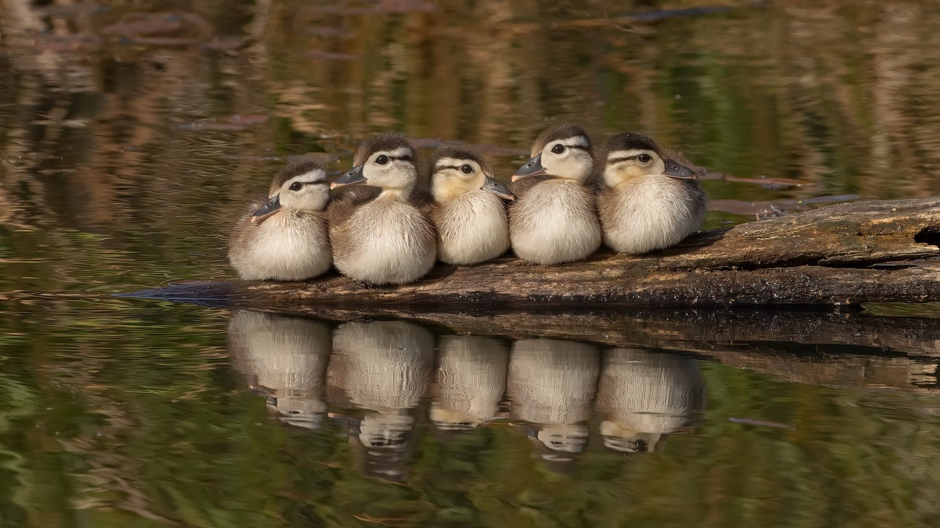 英雄联盟辅助位置操作要求提升意识成为重点，英雄联盟辅助位置重要吗
