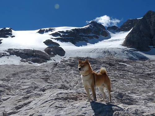 丁俊晖赛后怒斥裁判斯诺克世锦赛，丁俊晖斯诺克世锦赛最好成绩