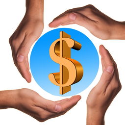 开yun体育-体育教学中增强现实与虚拟现实融合应用，结合教学实践谈谈示范在体育教学中的运用