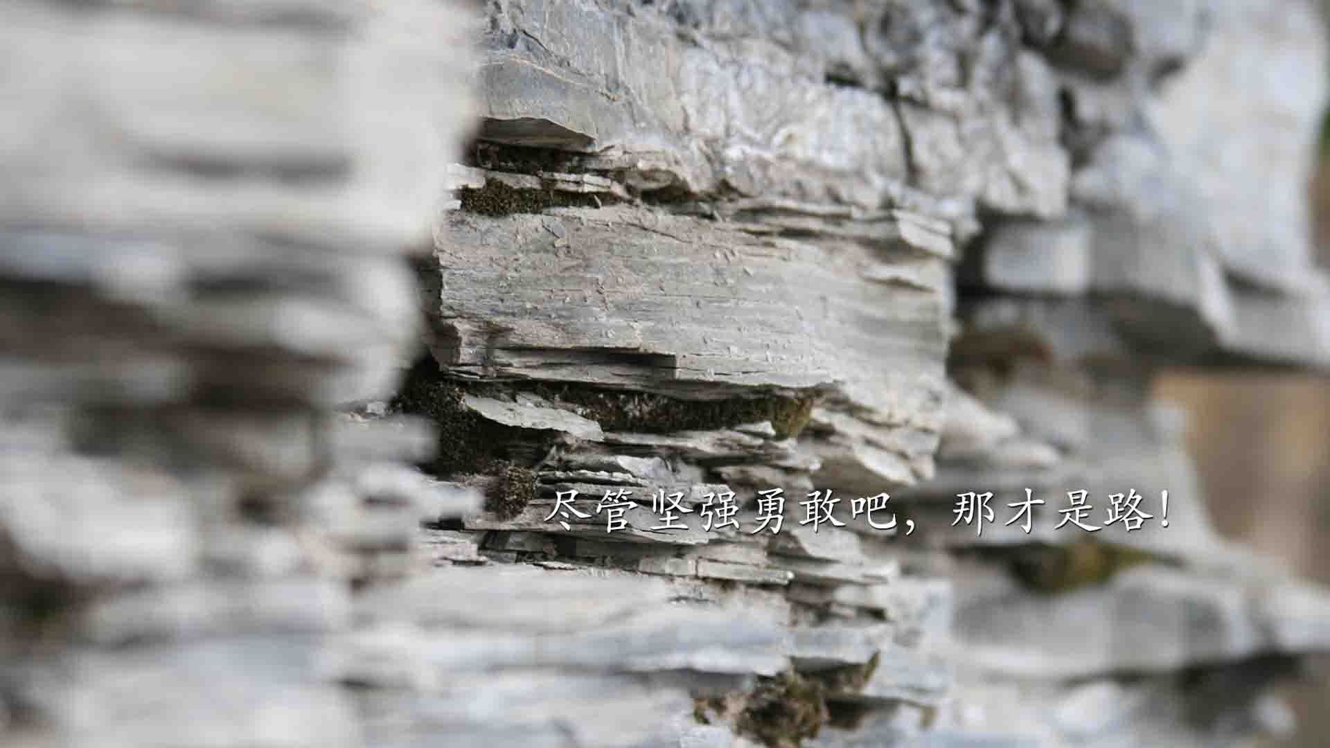 kaiyun.com-体育教学互动平台对学生学习动机的促进作用，体育平台活动