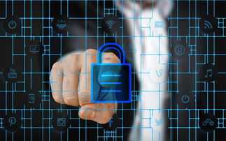 开云体育官方网入口-体育特许经营管理制度构建与案例研究，体育行业特有职业培训试点单位