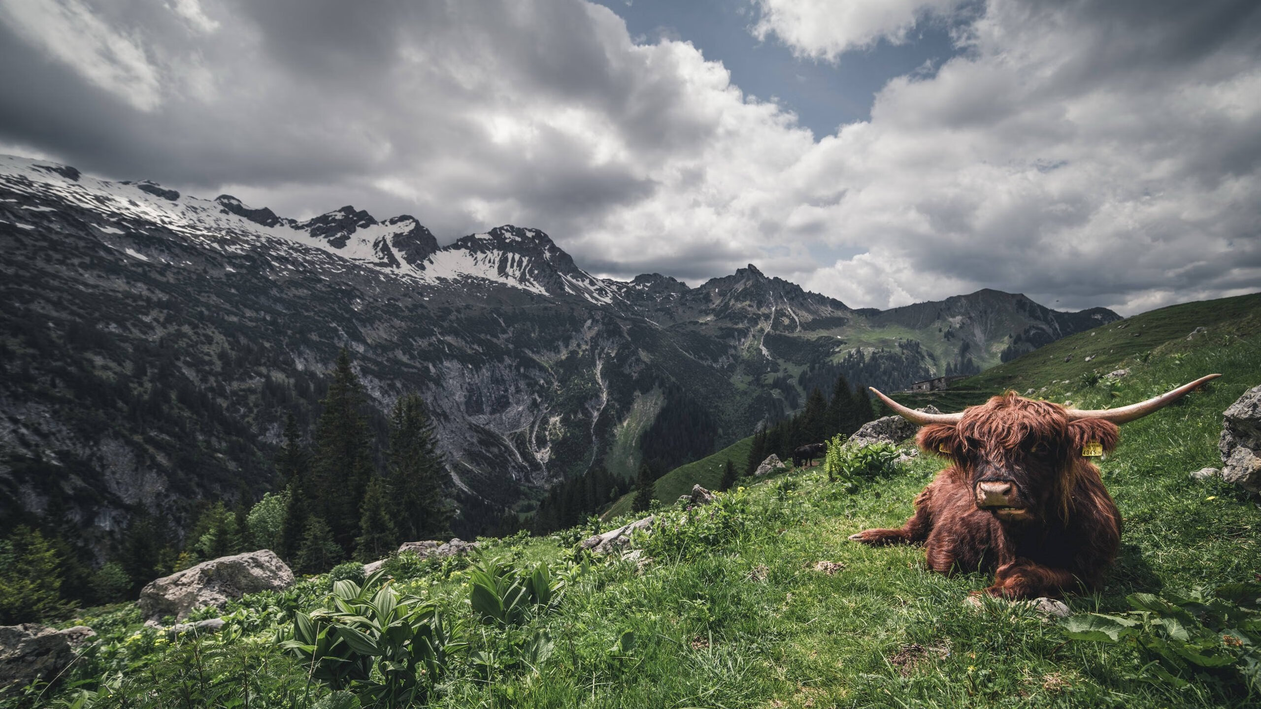 kaiyun 开云体育-意甲联赛中途盘点：领头羊尤文表现稳健，意甲尤文足球