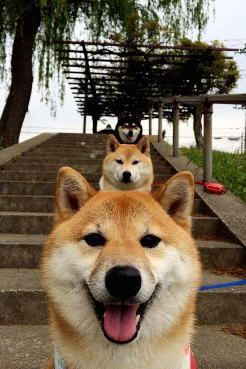 开云官方网页登录-中国男篮全力冲刺赛季冠军，中国男篮全力冲刺赛季冠军是谁