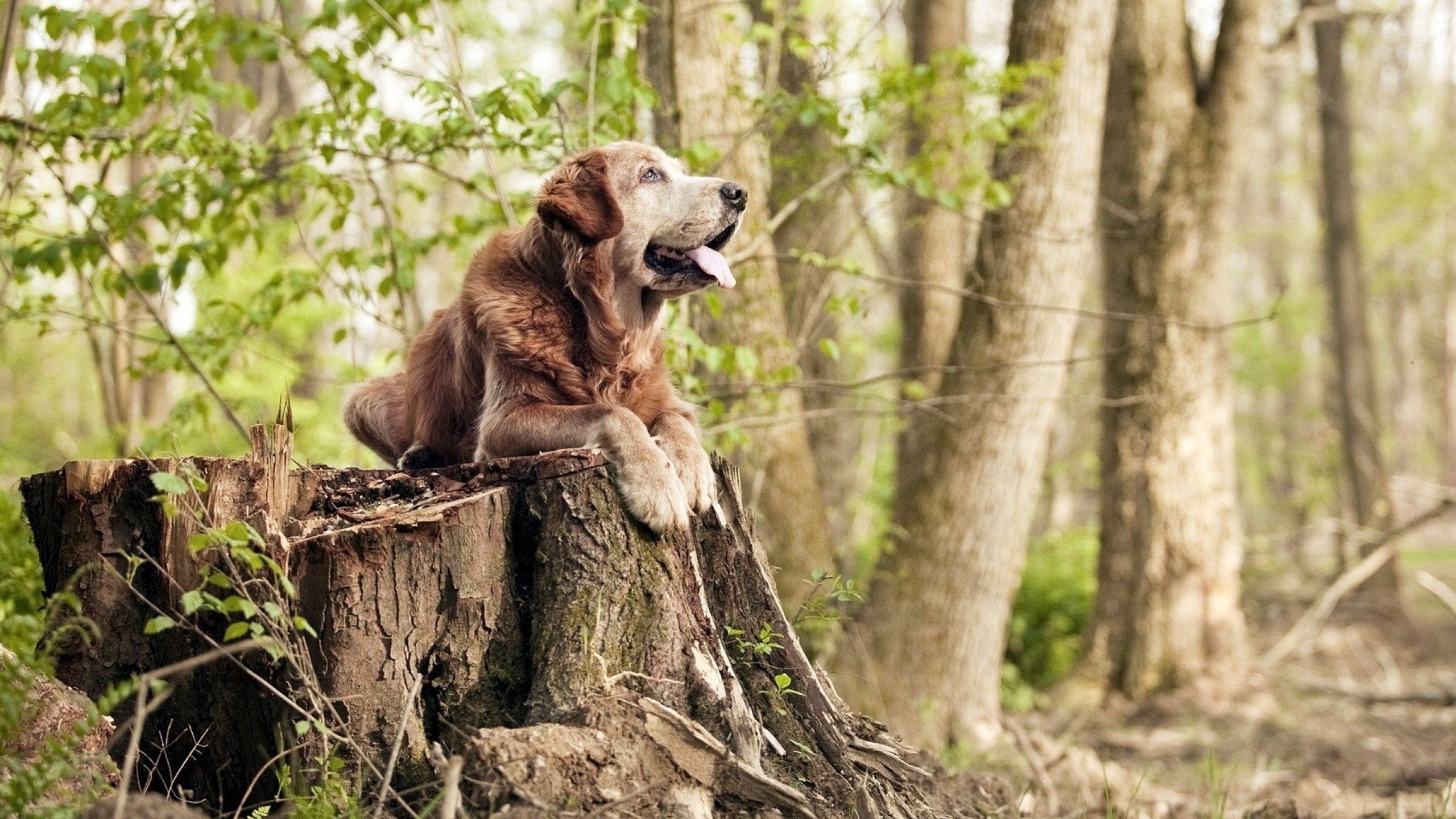 开云入口-亚洲杯中国女足战胜 球员信心倍增，中国女足亚洲杯战绩