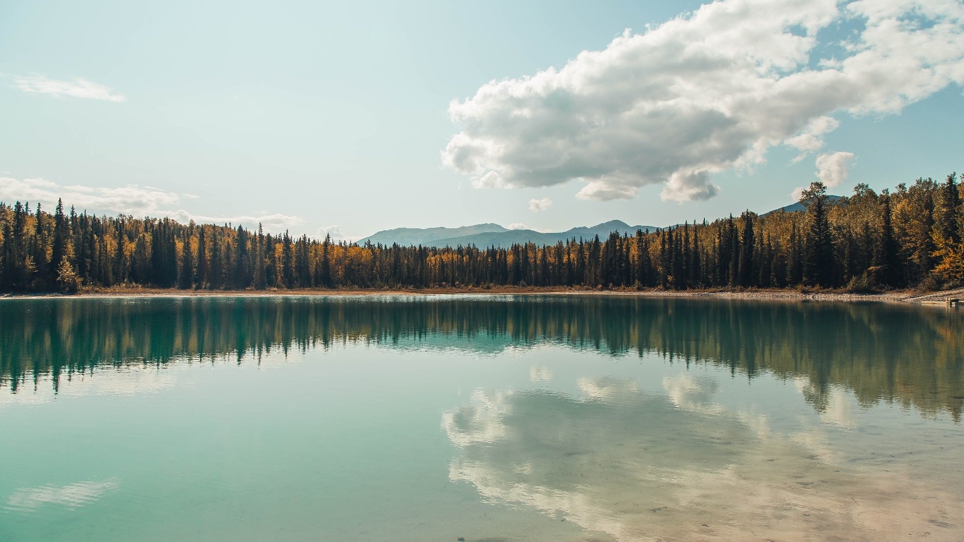 世界杯金牌瞬间:经典进球成就永恒回忆,世界杯的金牌